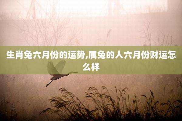 生肖兔六月份的运势,属兔的人六月份财运怎么样