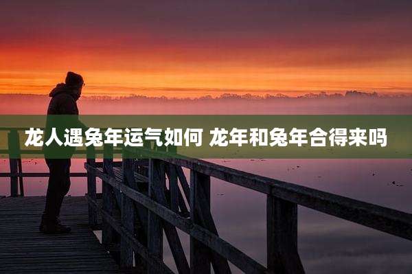 龙人遇兔年运气如何 龙年和兔年合得来吗
