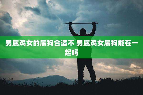 男属鸡女的属狗合适不 男属鸡女属狗能在一起吗