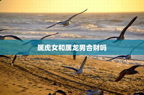 属虎女和属龙男合财吗