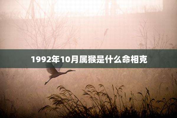 1992年10月属猴是什么命相克