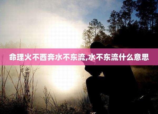 命理火不西奔水不东流,水不东流什么意思