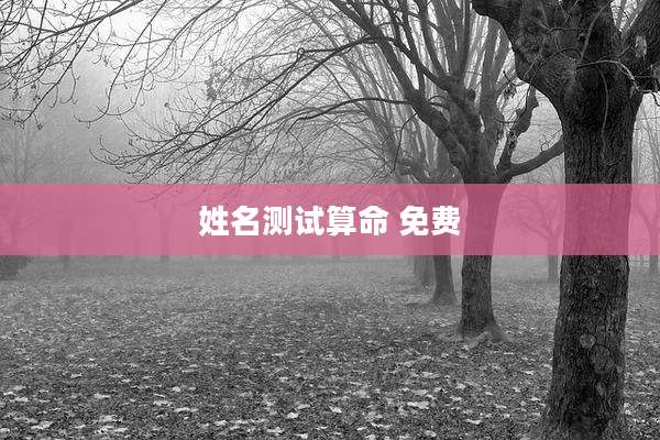 姓名测试算命 免费
