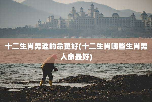 十二生肖男谁的命更好(十二生肖哪些生肖男人命最好)