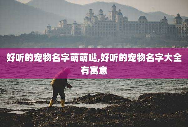 好听的宠物名字萌萌哒,好听的宠物名字大全有寓意