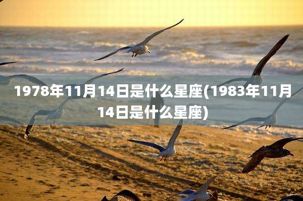 1978年11月14日是什么星座(1983年11月14日是什么星座)