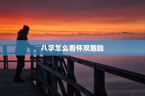 八字怎么看怀双胞胎