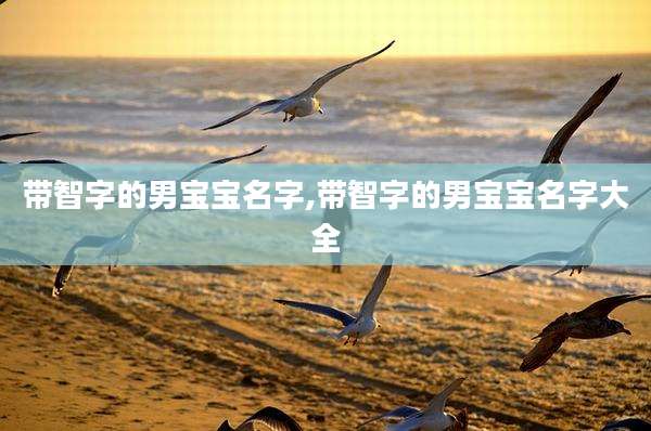 带智字的男宝宝名字,带智字的男宝宝名字大全