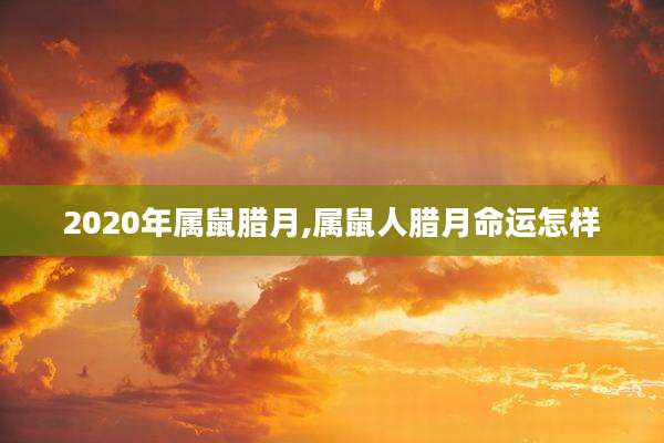 2020年属鼠腊月,属鼠人腊月命运怎样