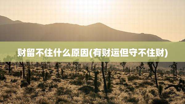 财留不住什么原因(有财运但守不住财)