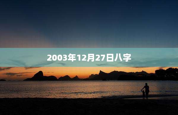 2003年12月27日八字