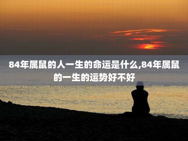 84年属鼠的人一生的命运是什么,84年属鼠的一生的运势好不好