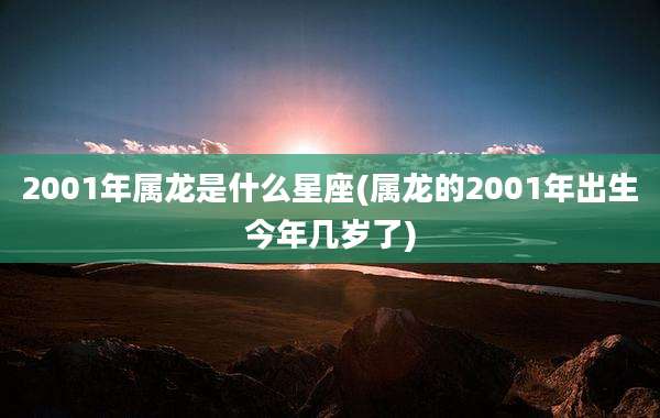 2001年属龙是什么星座(属龙的2001年出生今年几岁了)