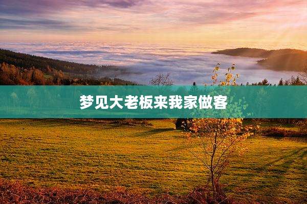 梦见大老板来我家做客