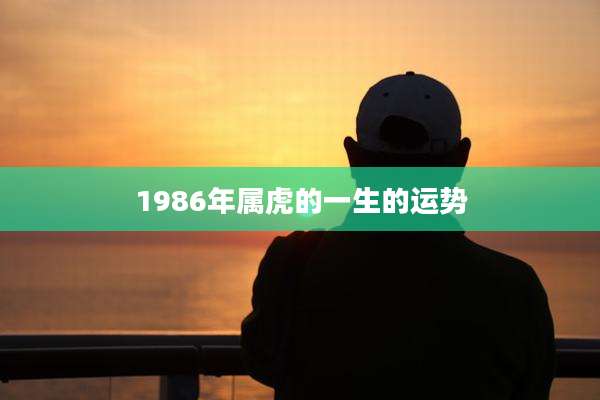 1986年属虎的一生的运势