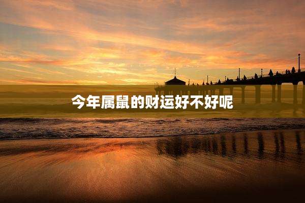 今年属鼠的财运好不好呢