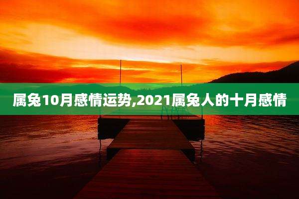 属兔10月感情运势,2021属兔人的十月感情