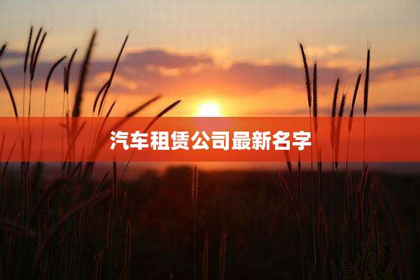 汽车租赁公司最新名字