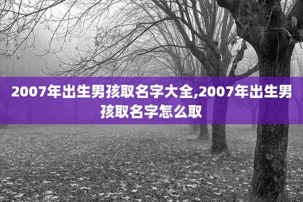 2007年出生男孩取名字大全,2007年出生男孩取名字怎么取