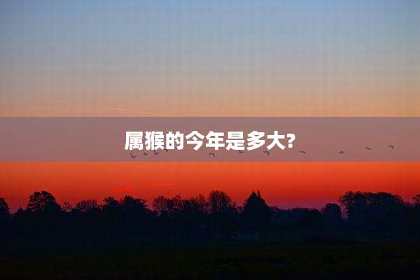 属猴的今年是多大?