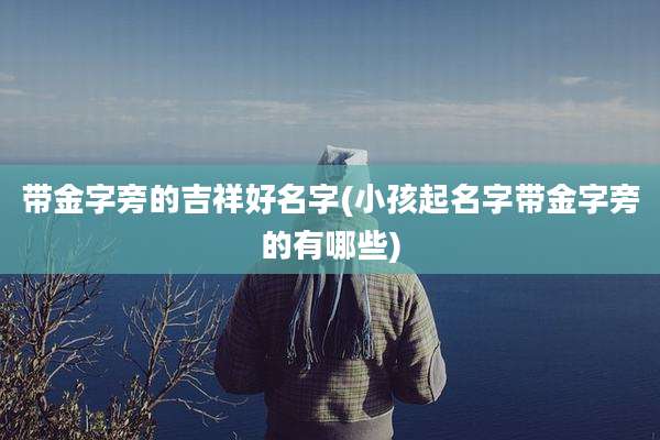 带金字旁的吉祥好名字(小孩起名字带金字旁的有哪些)