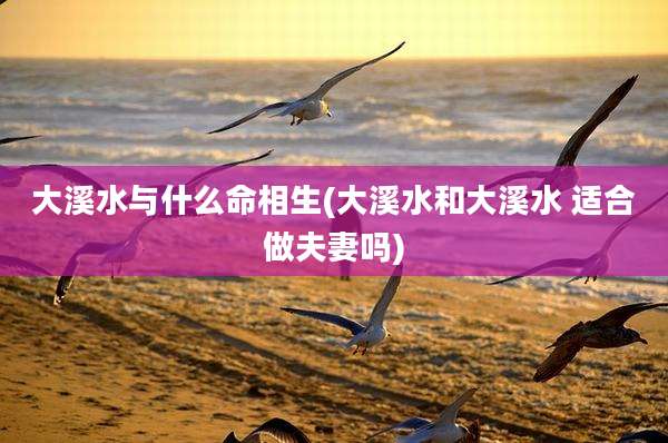 大溪水与什么命相生(大溪水和大溪水 适合做夫妻吗)