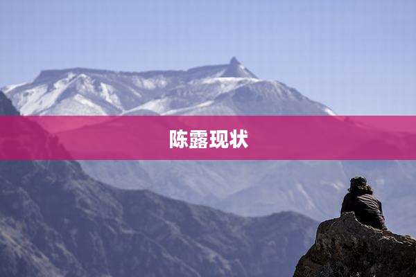 陈露现状