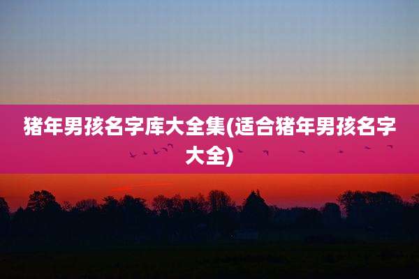 猪年男孩名字库大全集(适合猪年男孩名字大全)