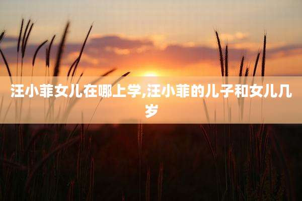 汪小菲女儿在哪上学,汪小菲的儿子和女儿几岁
