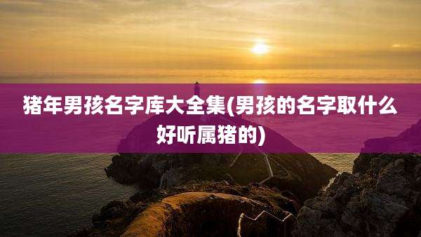 猪年男孩名字库大全集(男孩的名字取什么好听属猪的)