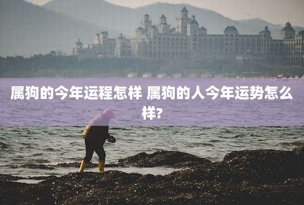 属狗的今年运程怎样 属狗的人今年运势怎么样?