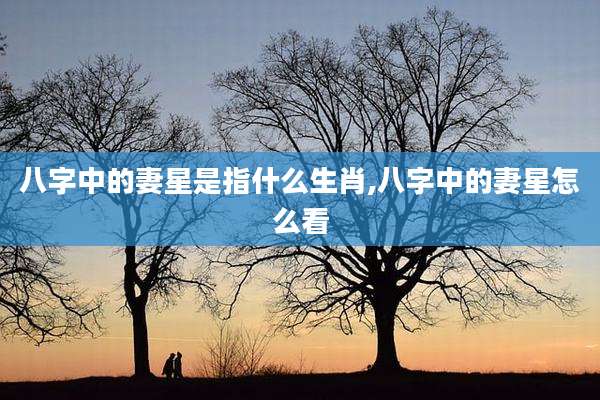 八字中的妻星是指什么生肖,八字中的妻星怎么看
