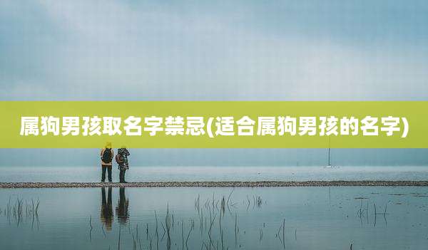 属狗男孩取名字禁忌(适合属狗男孩的名字)