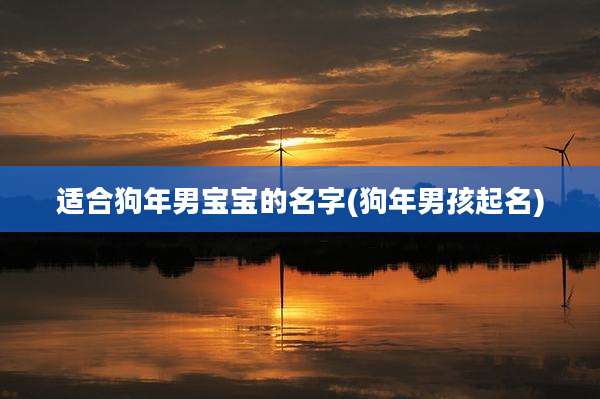 适合狗年男宝宝的名字(狗年男孩起名)