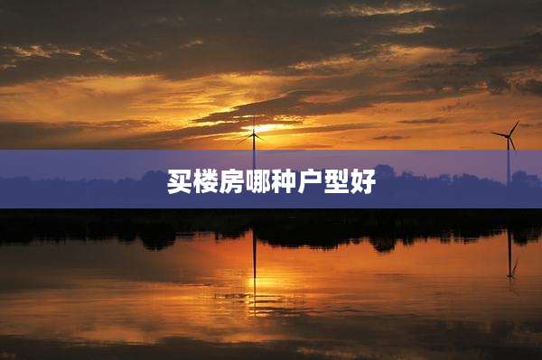 买楼房哪种户型好