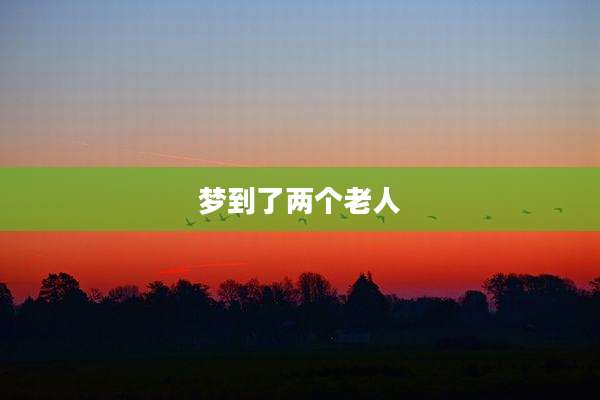 梦到了两个老人