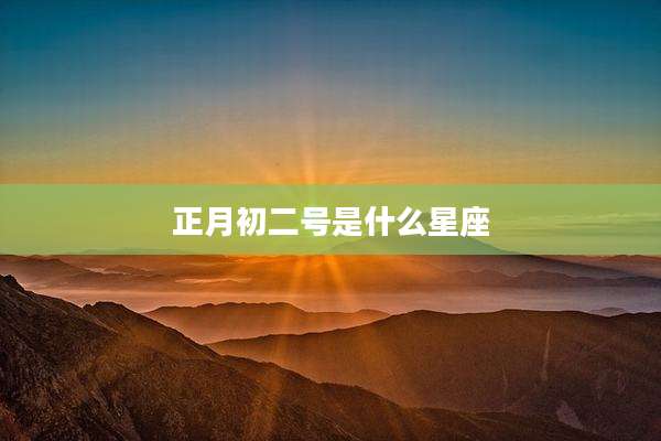 正月初二号是什么星座
