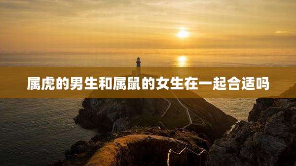 属虎的男生和属鼠的女生在一起合适吗