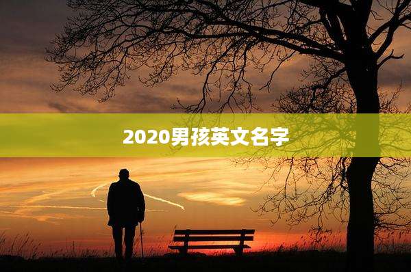 2020男孩英文名字