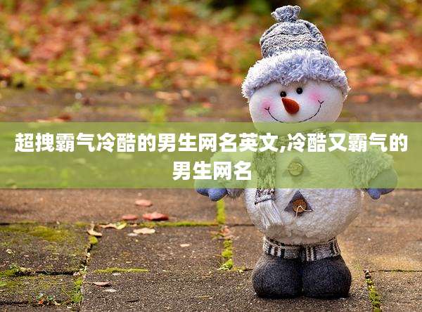 超拽霸气冷酷的男生网名英文,冷酷又霸气的男生网名