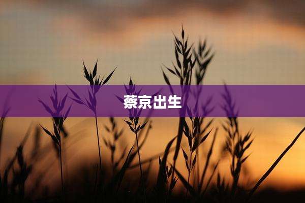 蔡京出生