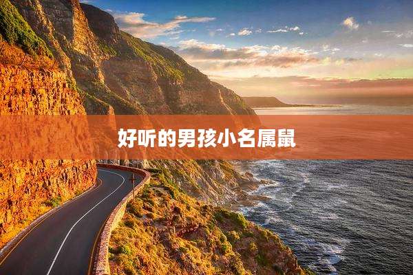 好听的男孩小名属鼠