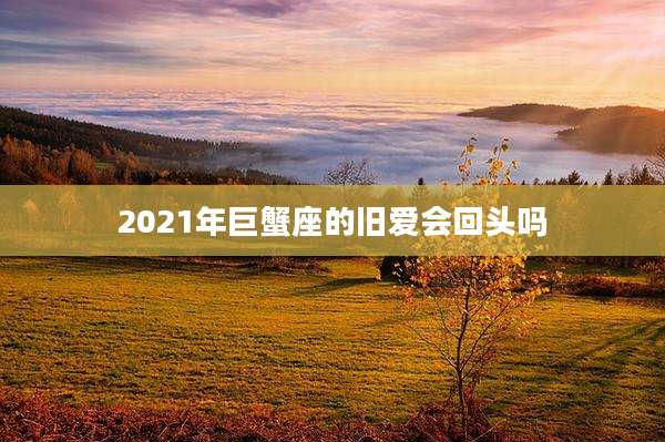 2021年巨蟹座的旧爱会回头吗