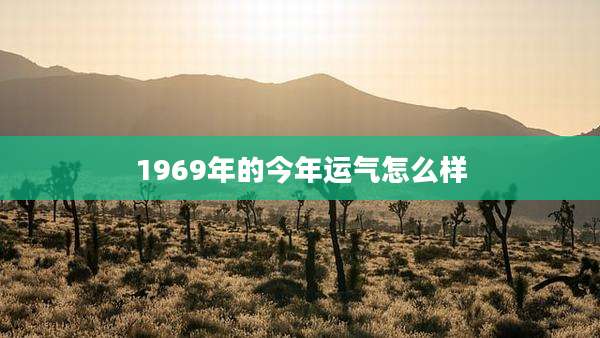 1969年的今年运气怎么样