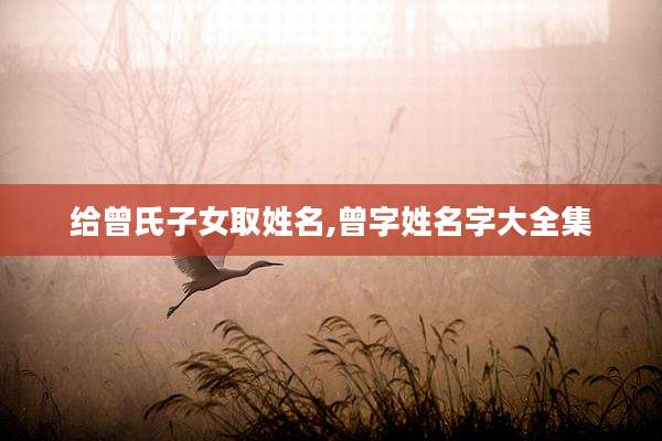 给曾氏子女取姓名,曾字姓名字大全集