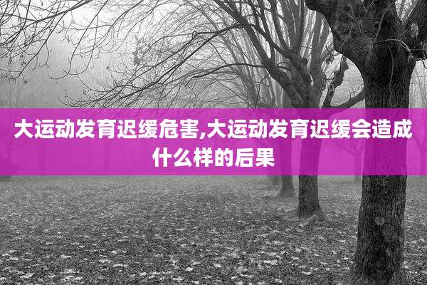 大运动发育迟缓危害,大运动发育迟缓会造成什么样的后果
