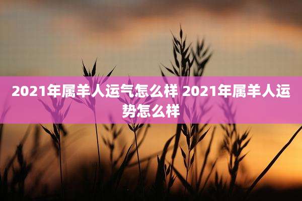2021年属羊人运气怎么样 2021年属羊人运势怎么样