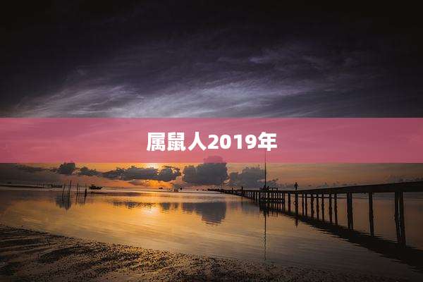 属鼠人2019年