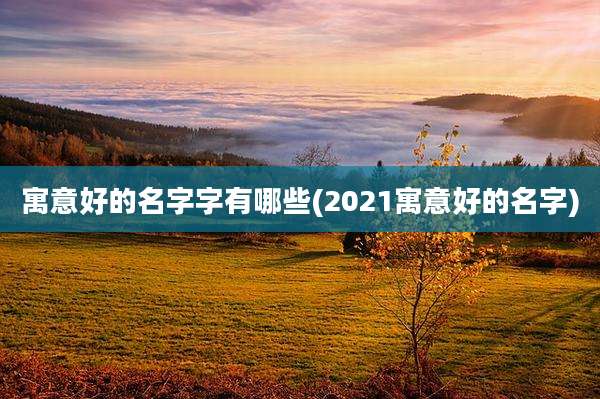寓意好的名字字有哪些(2021寓意好的名字)