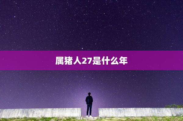 属猪人27是什么年